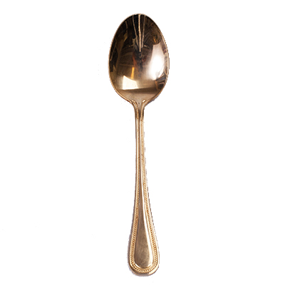 EURO GOLD SOUP SPOON